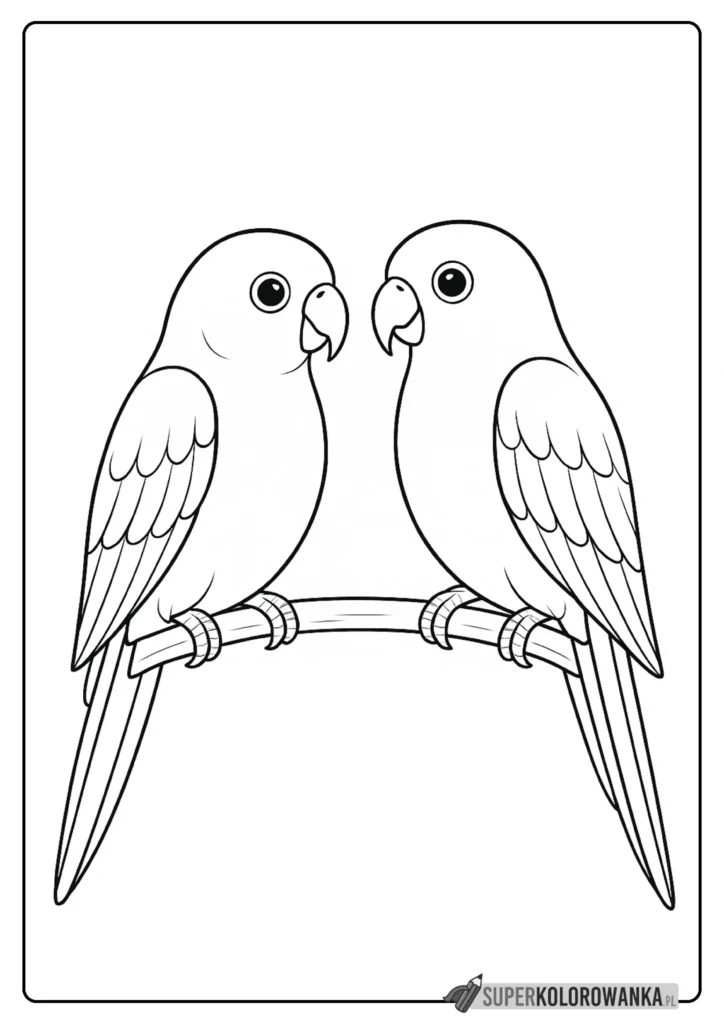 papuzki kolorowanka do druku